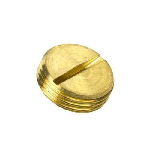 Niglon BPS20 Brass Slotted Plug DiaØ: 20mm