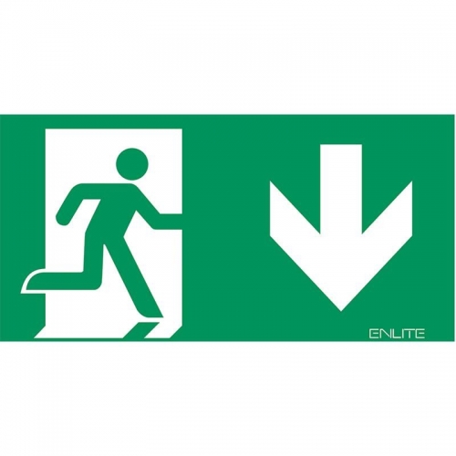Aurora Lighting EN-LG2D Down Emergency Exit Legend