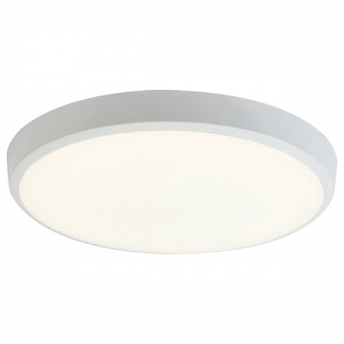 Ansell Lighting AGAM/1 Gamma White IP65 Wattage & 3 CCT Selectable LED Bulkhead 7W-13W 900Lm-1700Lm 240V