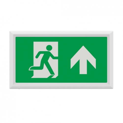 Collingwood Lighting EMBXWMS Salvus White IP20 2.5W 26Lm Maintained Manual/Self-Test Emergency Exit Box With Daylight White 6500K LEDs & Full Legend Set