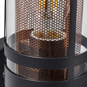 Forum Lighting ZN-40004-BLK/BRS Gada Black IP44 Round Wall Light With Brass Mesh Insert & Clear Diffuser - Requires 1 x 10W GLS ES LED Lamp 240V