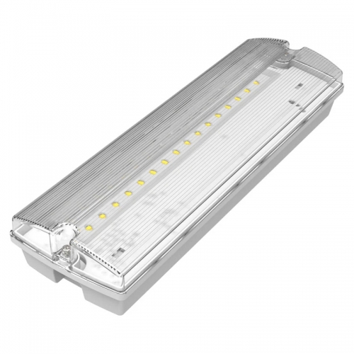 Channel Safety ESOL01 Solent 3W IP65 LED Emergency Bulkhead With Full Legend Set