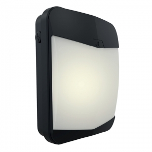 Ansell Lighting Panther CCT LED Wallpack